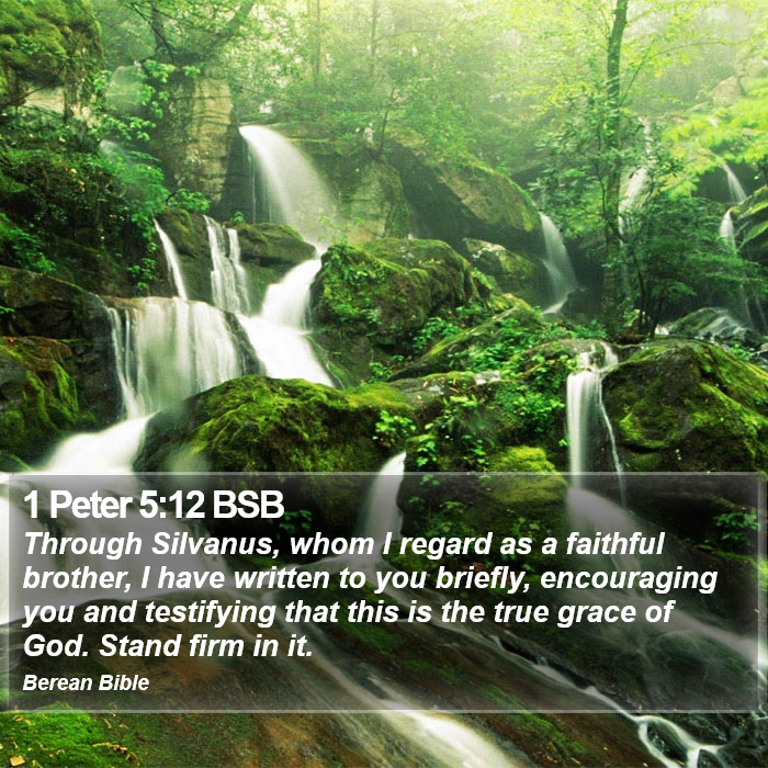 1 Peter 5:12 BSB Bible Study