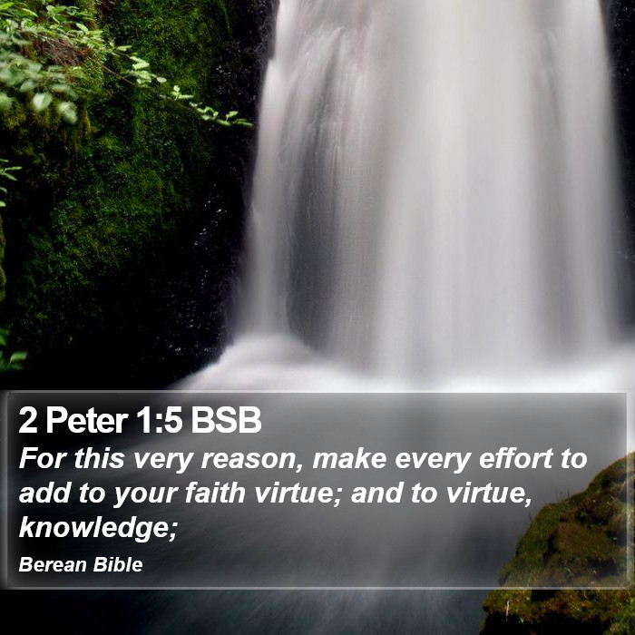 2 Peter 1:5 BSB Bible Study