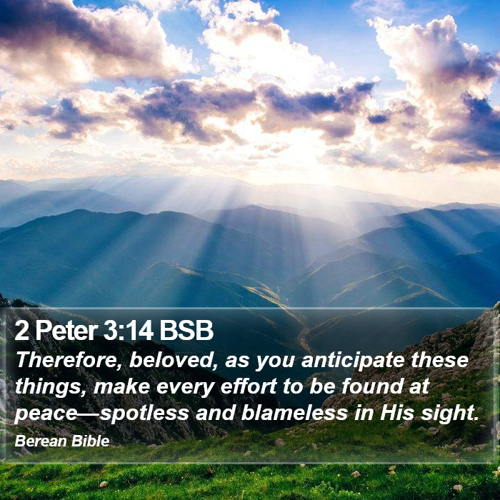 2 Peter 3:14 BSB Bible Study