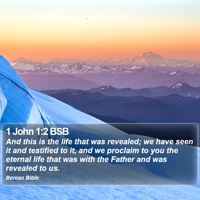 1 John 1:2 BSB Bible Study