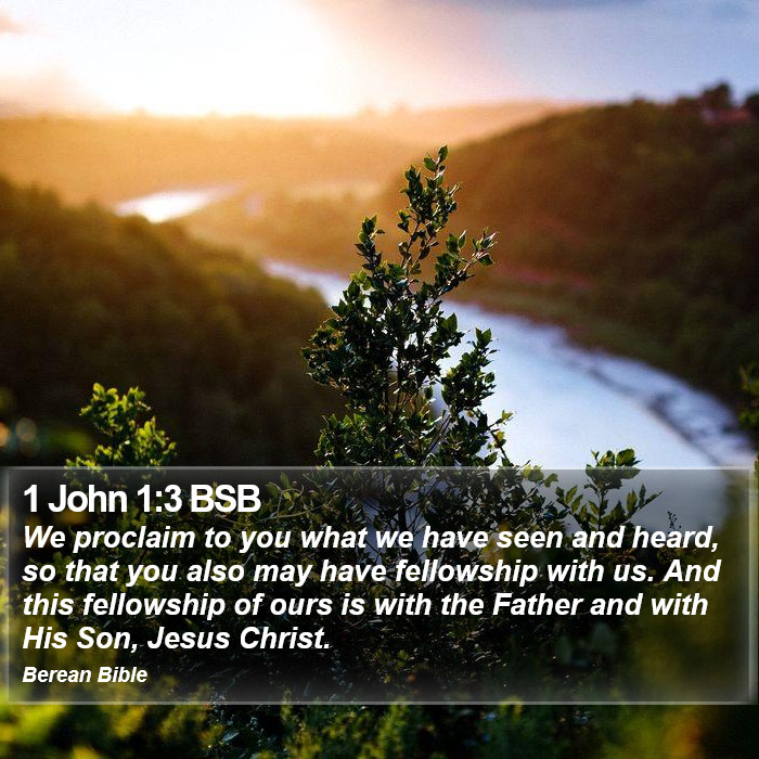 1 John 1:3 BSB Bible Study