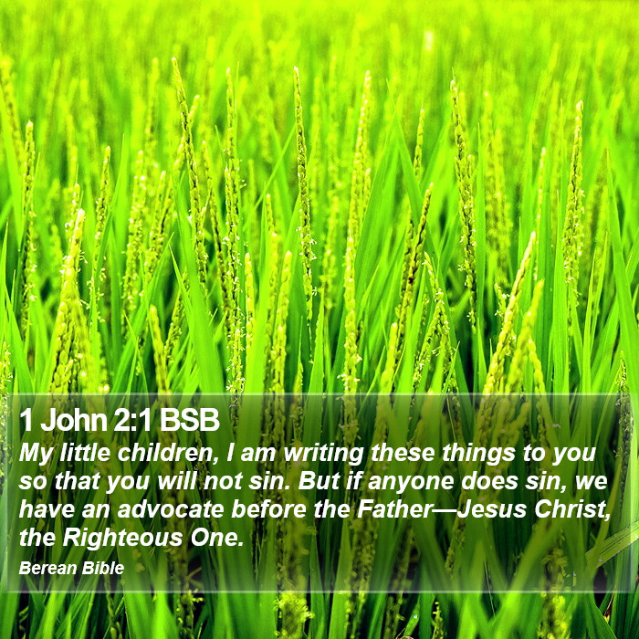 1 John 2:1 BSB Bible Study