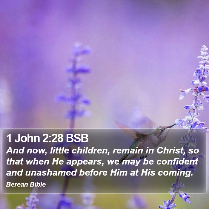 1 John 2:28 BSB Bible Study