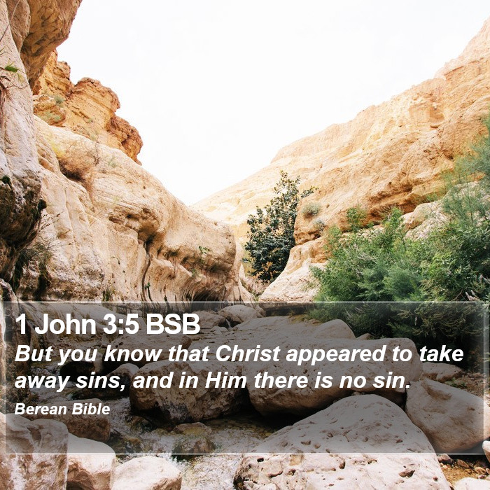 1 John 3:5 BSB Bible Study