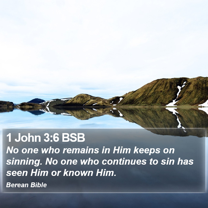 1 John 3:6 BSB Bible Study