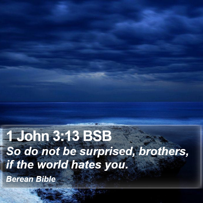 1 John 3:13 BSB Bible Study