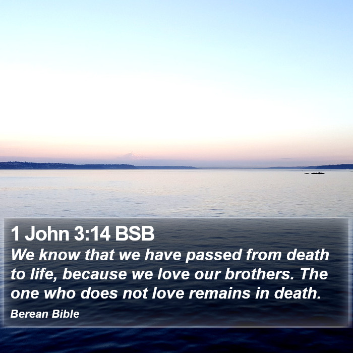 1 John 3:14 BSB Bible Study