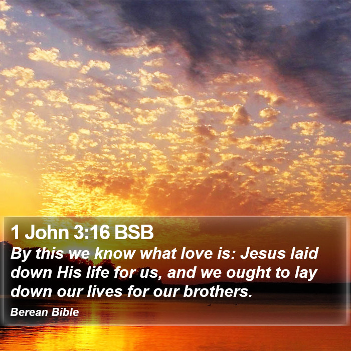 1 John 3:16 BSB Bible Study