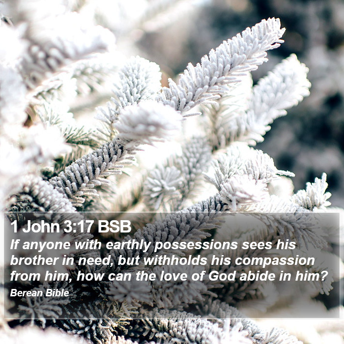 1 John 3:17 BSB Bible Study