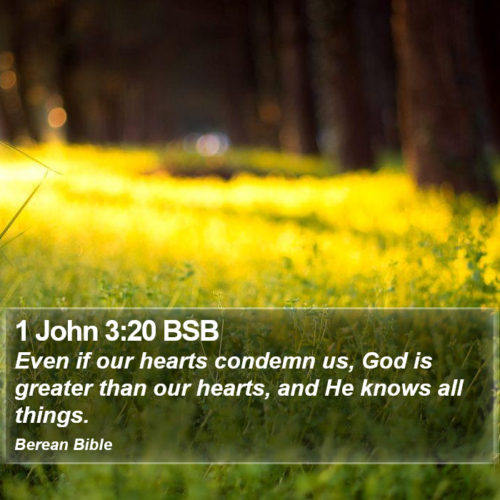 1 John 3:20 BSB Bible Study