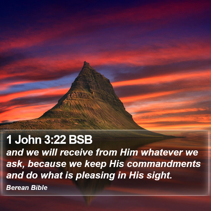 1 John 3:22 BSB Bible Study