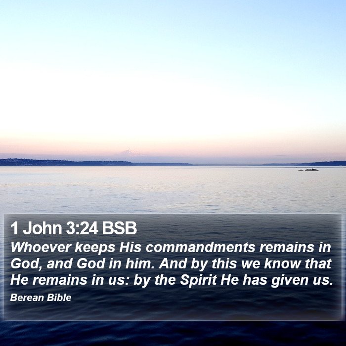 1 John 3:24 BSB Bible Study