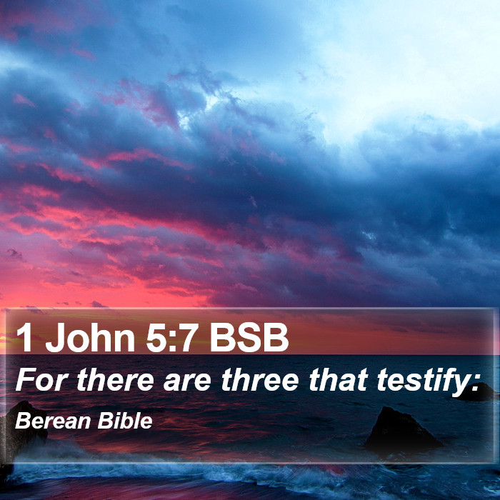 1 John 5:7 BSB Bible Study