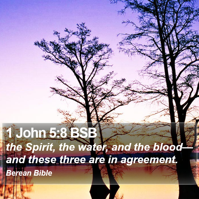 1 John 5:8 BSB Bible Study