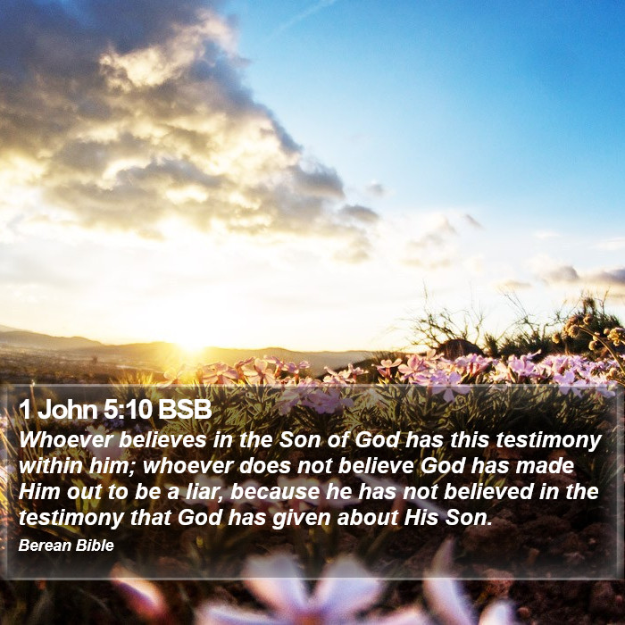 1 John 5:10 BSB Bible Study