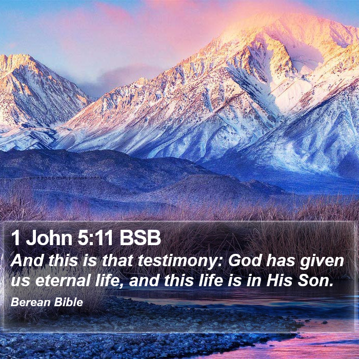 1 John 5:11 BSB Bible Study