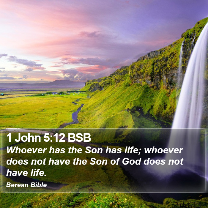 1 John 5:12 BSB Bible Study