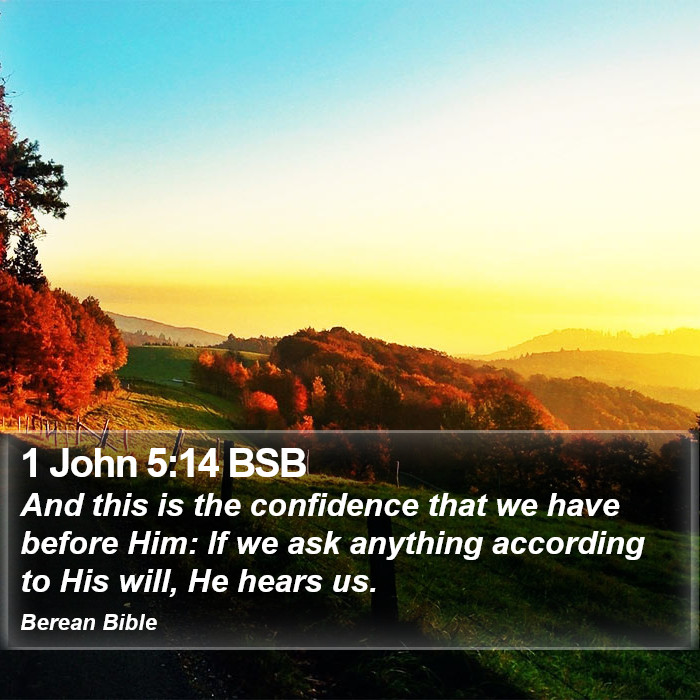 1 John 5:14 BSB Bible Study