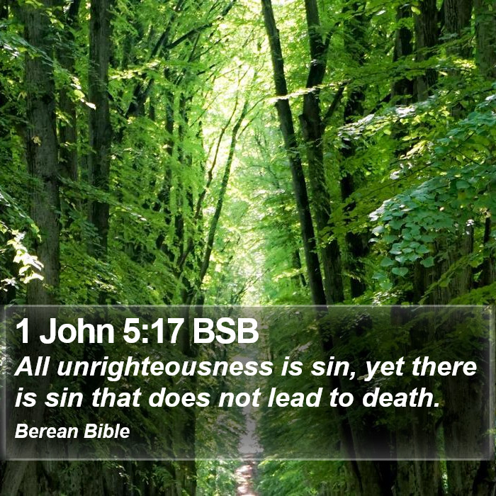 1 John 5:17 BSB Bible Study