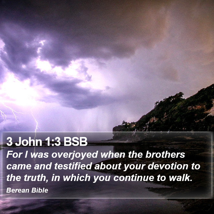 3 John 1:3 BSB Bible Study