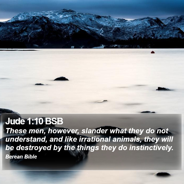 Jude 1:10 BSB Bible Study