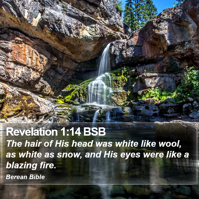 Revelation 1:14 BSB Bible Study