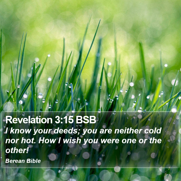 Revelation 3:15 BSB Bible Study