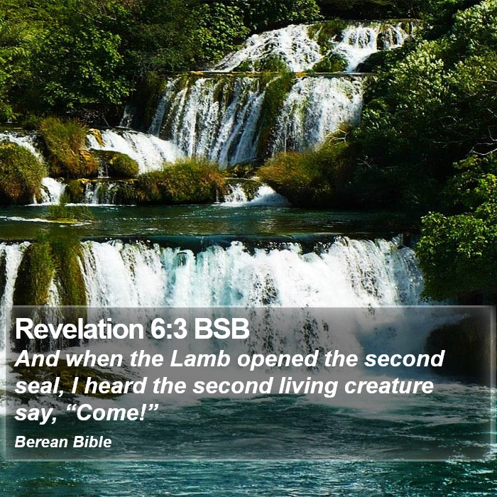 Revelation 6:3 BSB Bible Study