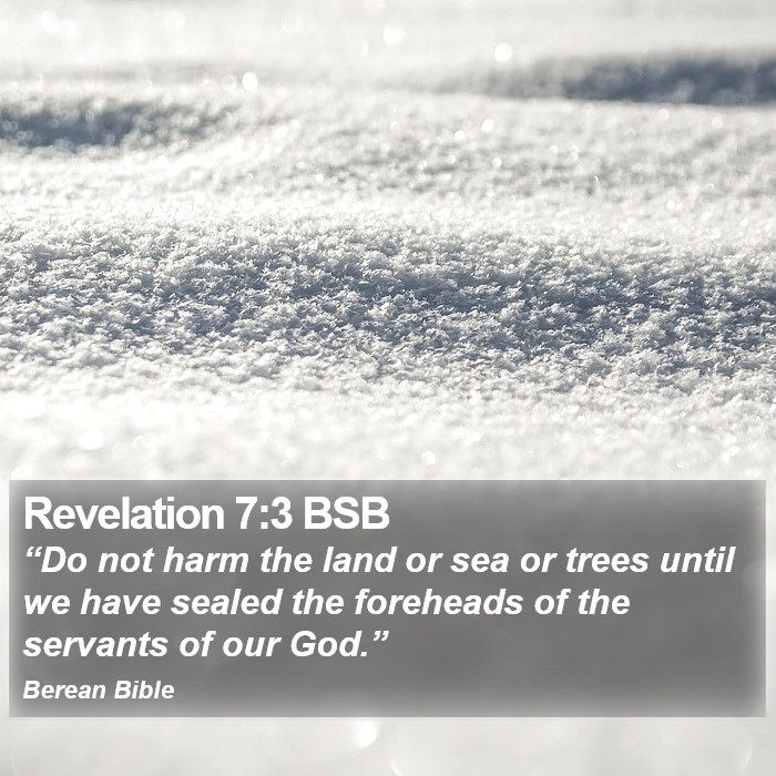 Revelation 7:3 BSB Bible Study