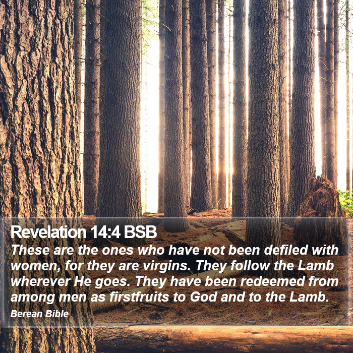 Revelation 14:4 BSB Bible Study