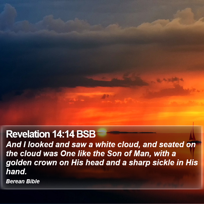 Revelation 14:14 BSB Bible Study