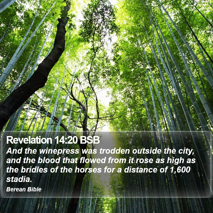 Revelation 14:20 BSB Bible Study