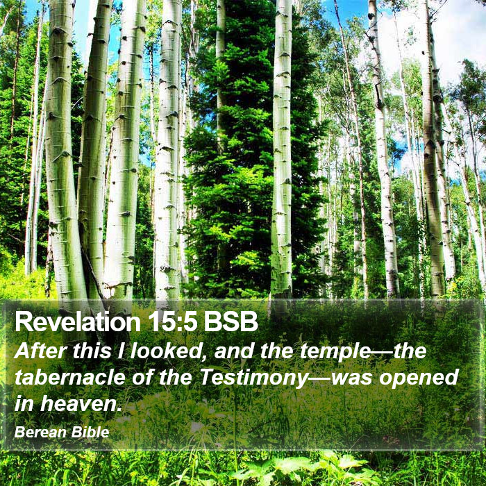 Revelation 15:5 BSB Bible Study