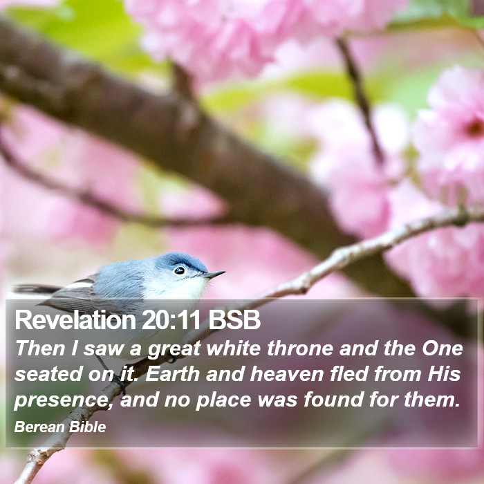 Revelation 20:11 BSB Bible Study