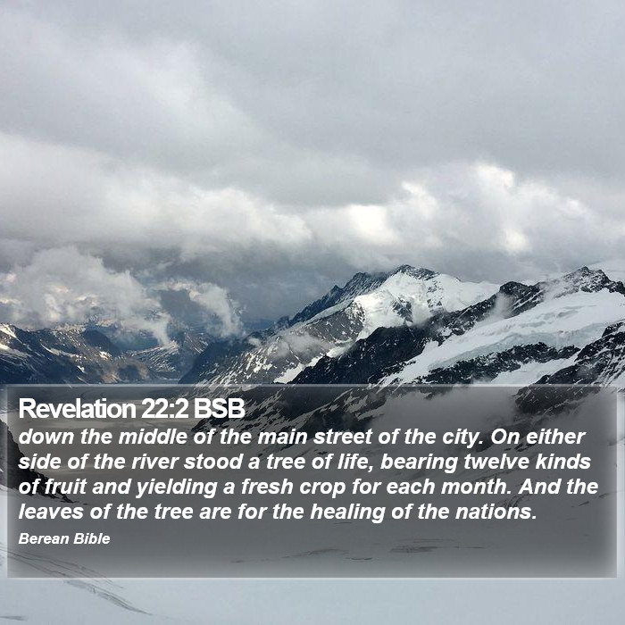 Revelation 22:2 BSB Bible Study